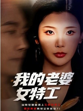 我的老婆女特工 第33集