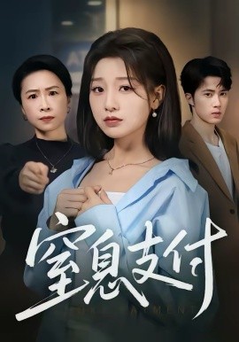 窒息支付 第15集