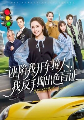 诬陷我开车撞人，我反手掏出色盲证 第09集