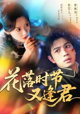 花落时节又逢君 第04集