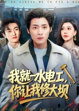我就一水电工，你让我修大坝 第60集