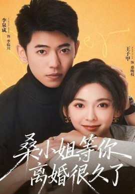 桑小姐，等你离婚很久了 第50集