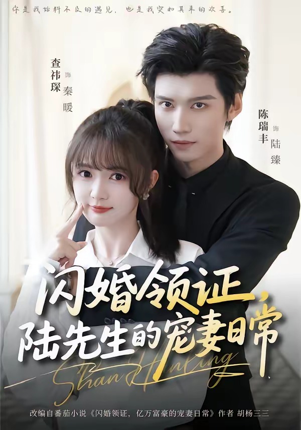 闪婚领证，陆先生的宠妻日常 HD(大结局)