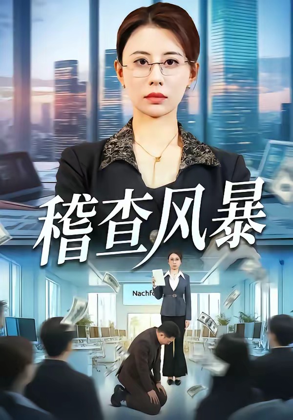 稽查风暴 HD(大结局)
