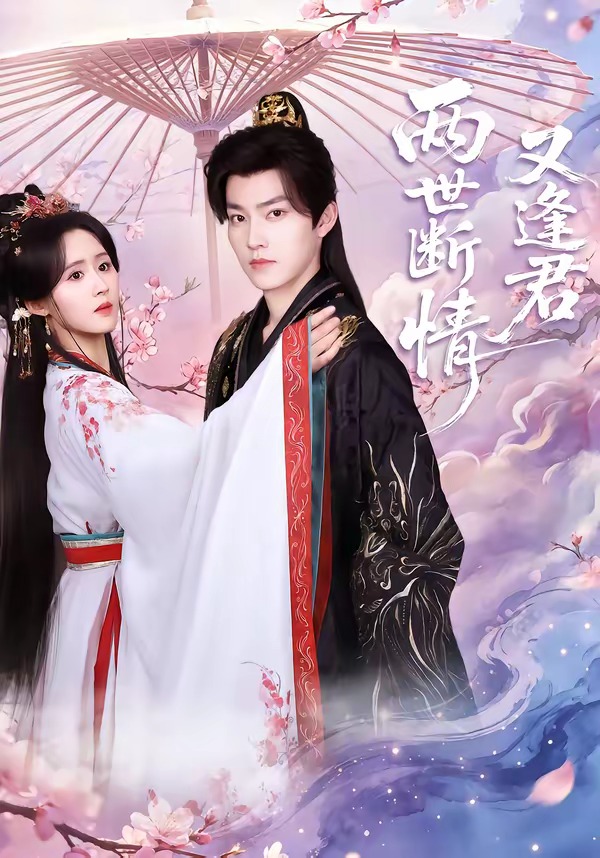 两世断情又逢君(全集)