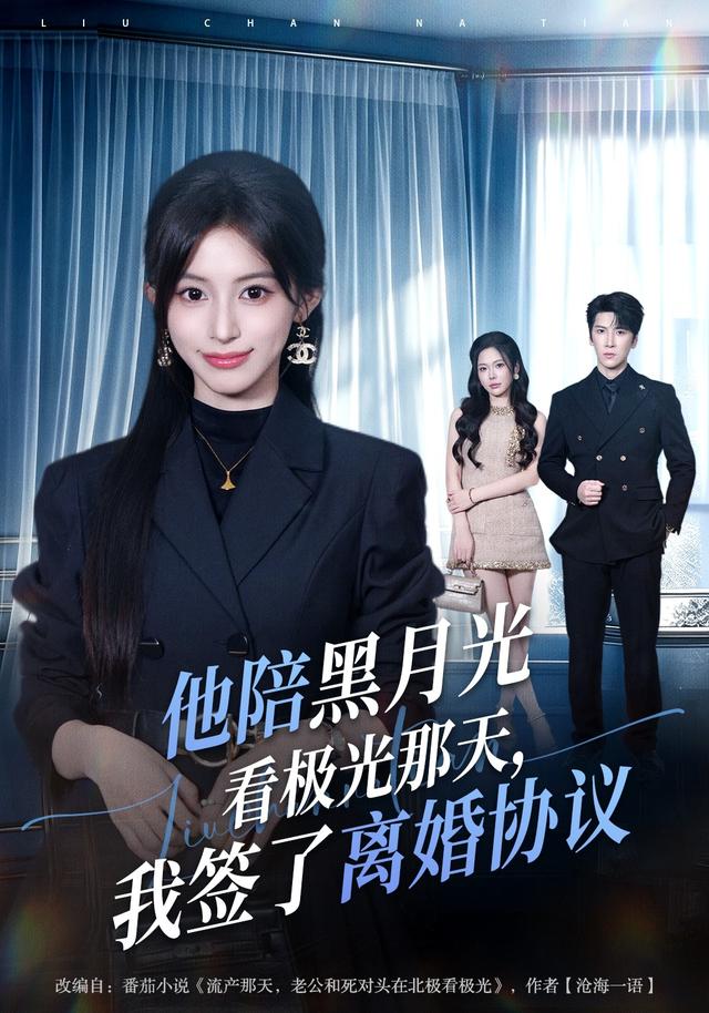 他陪黑月光看极光那天，我签了离婚协议(全集)