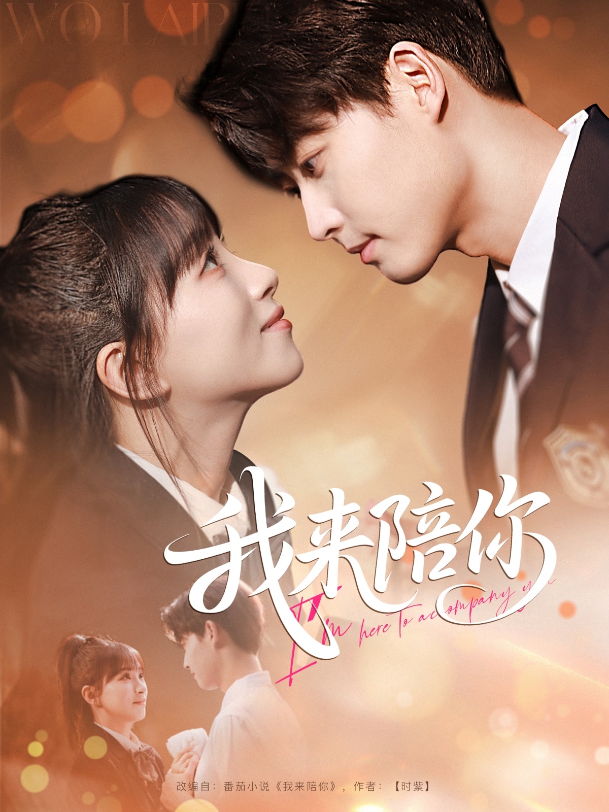 我来陪你(全集)