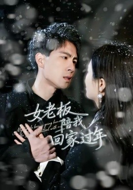女老板陪我回家过年(全集)