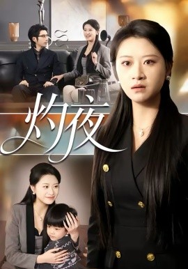 灼夜2026(全集)